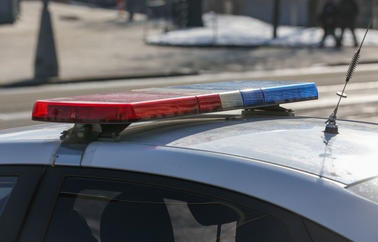    Алексей Белкин/NEWS.ru