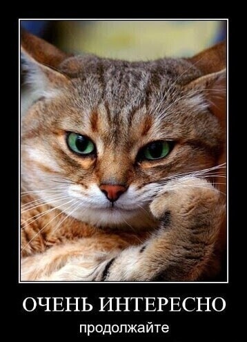 Фото из свободного доступа  в интернете.