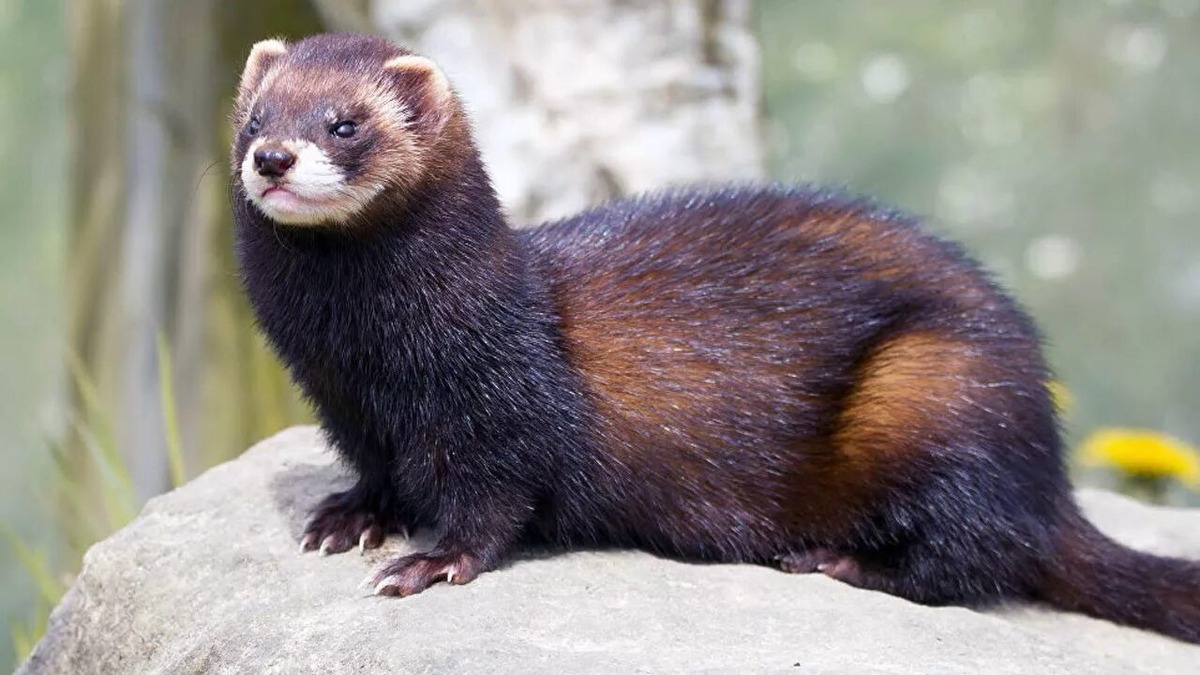 Фото из интернета