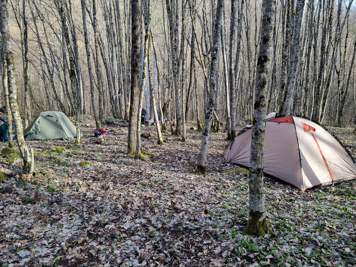 Пвлатка хорошая. Хоть и тяжеловата. Наша - справа
