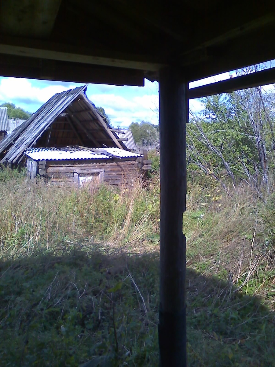 Тот самый сарай, на чердаке которого мы с мужем спали. Тогда он, конечно, был покрепче.