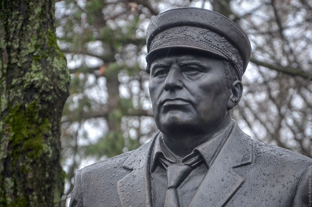«Я шумел, чтобы вы проснулись...» В. Жириновский