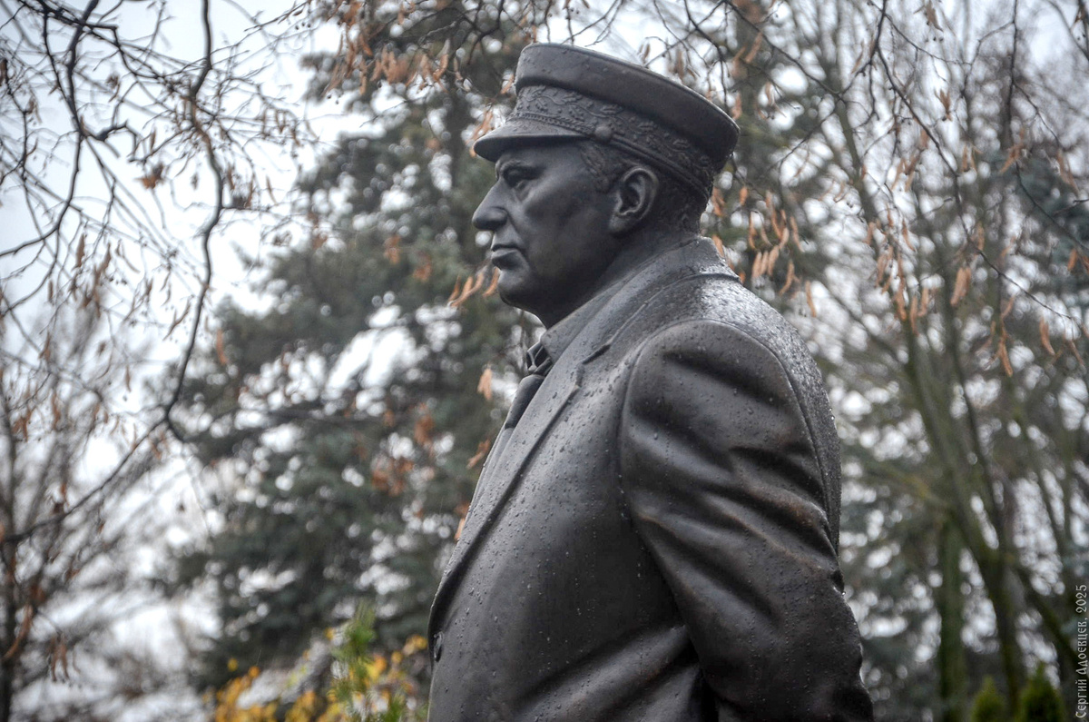 Сквозь листву — силуэт, похожий на мысль.