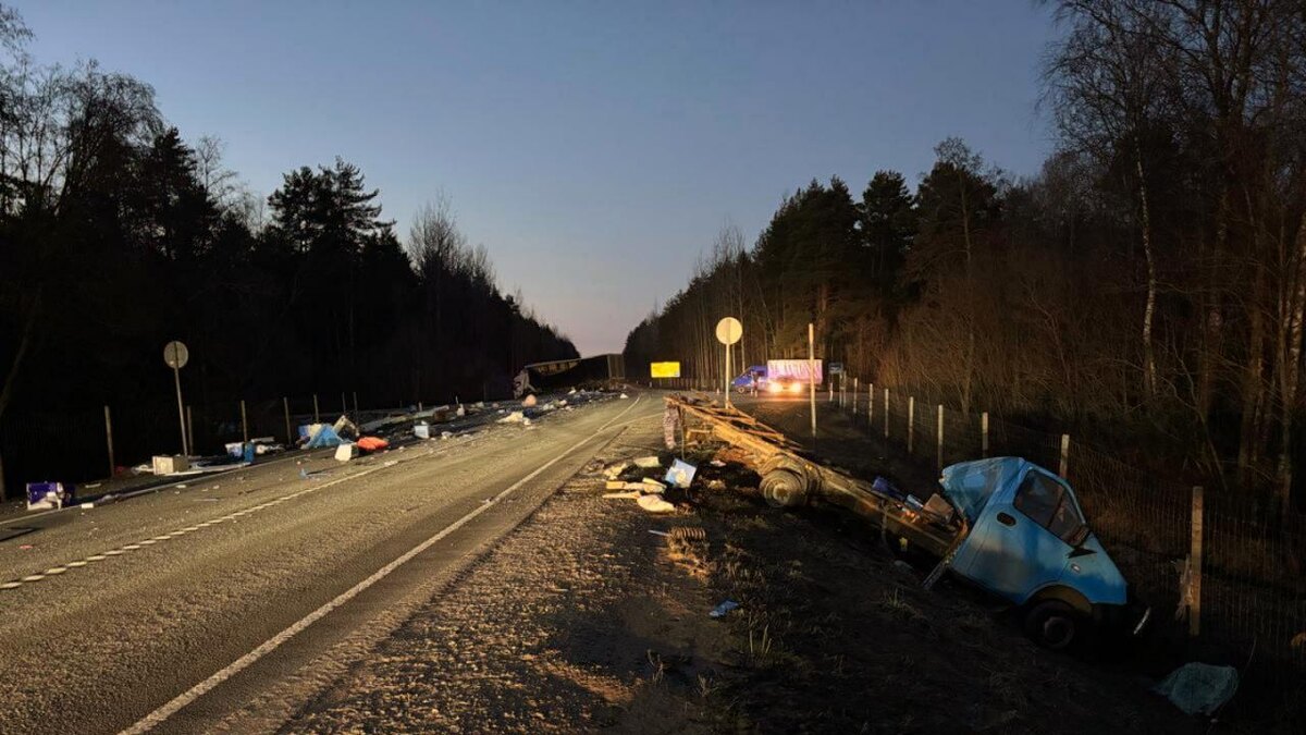    Фото: пресс-служба ГУ МВД России по Петербургу и Ленобласти