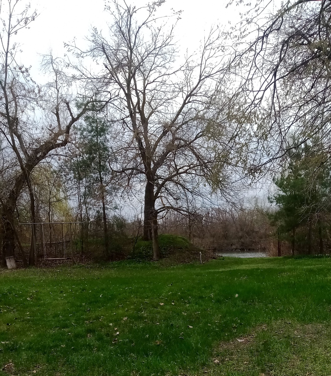 Наша любимая дача весной прекрасна