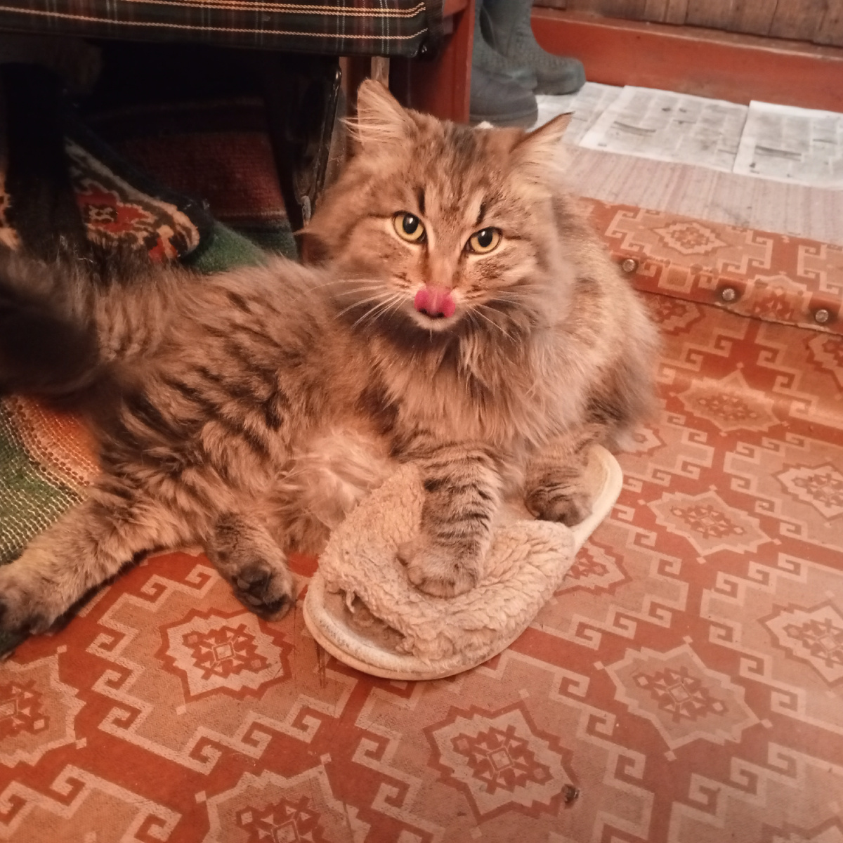 Кто сказал, что эти тапки - бабушкины? Это Кузины мягкие игрушки!