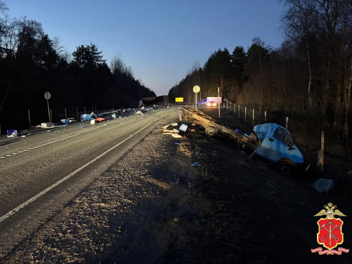    Фото: пресс-служба ГУ МВД России по Петербургу и Ленобласти