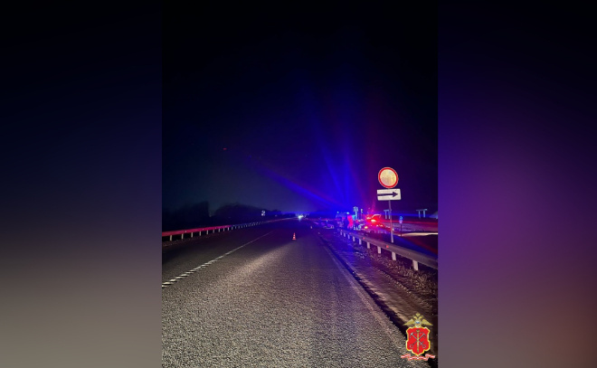    © Пресс-служба ГУ МВД по Петербургу и Ленинградской области