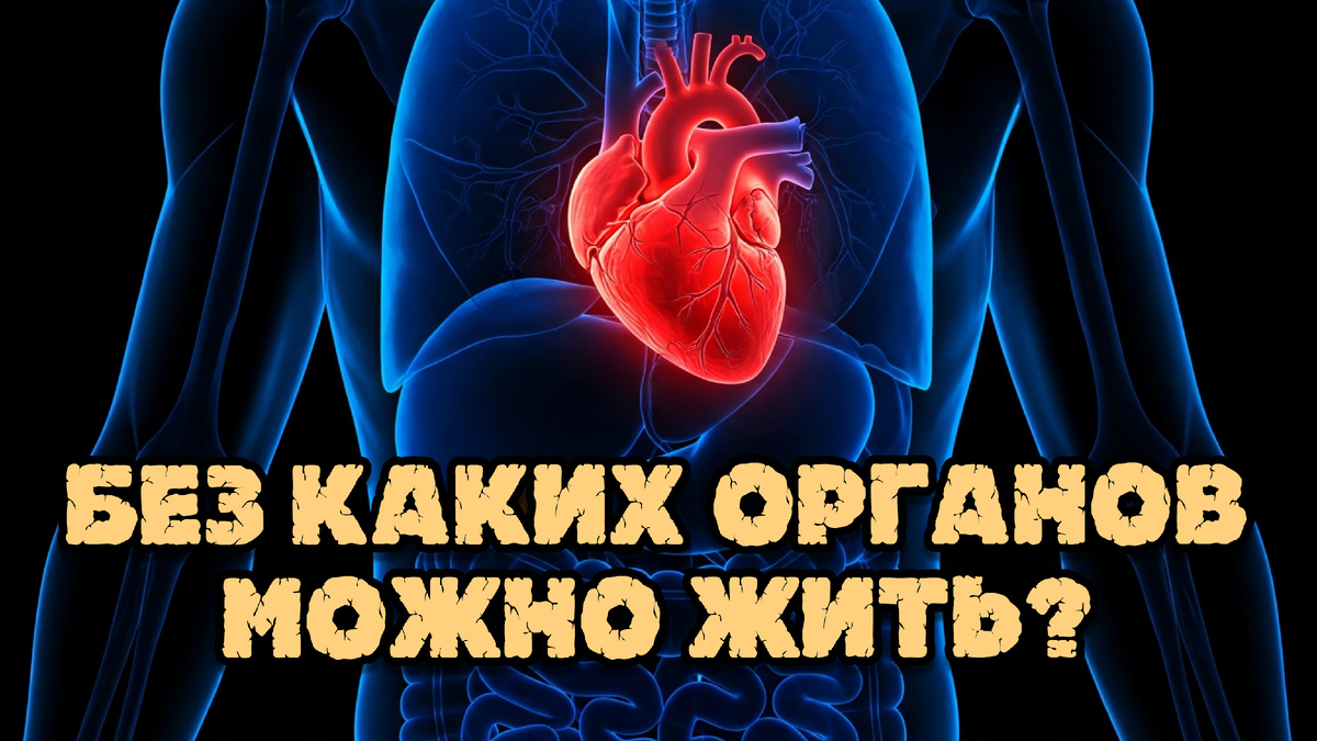5 Органов, Без Которых Можно Жить Обычной Жизнью!