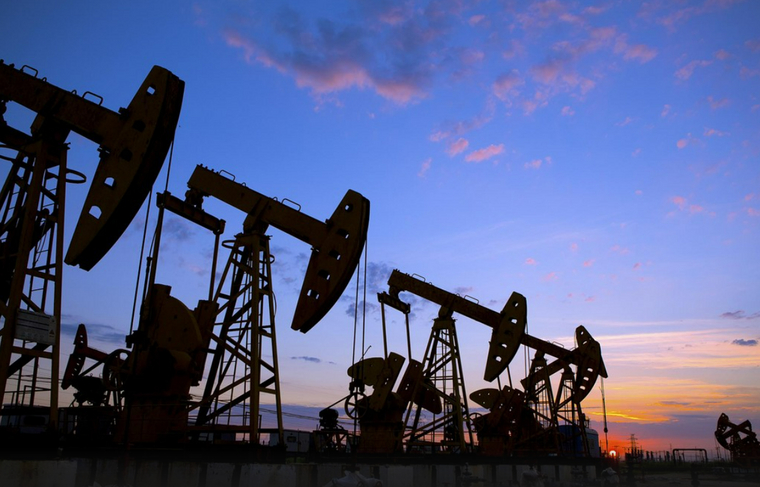    Shutterstock|FOTODOM