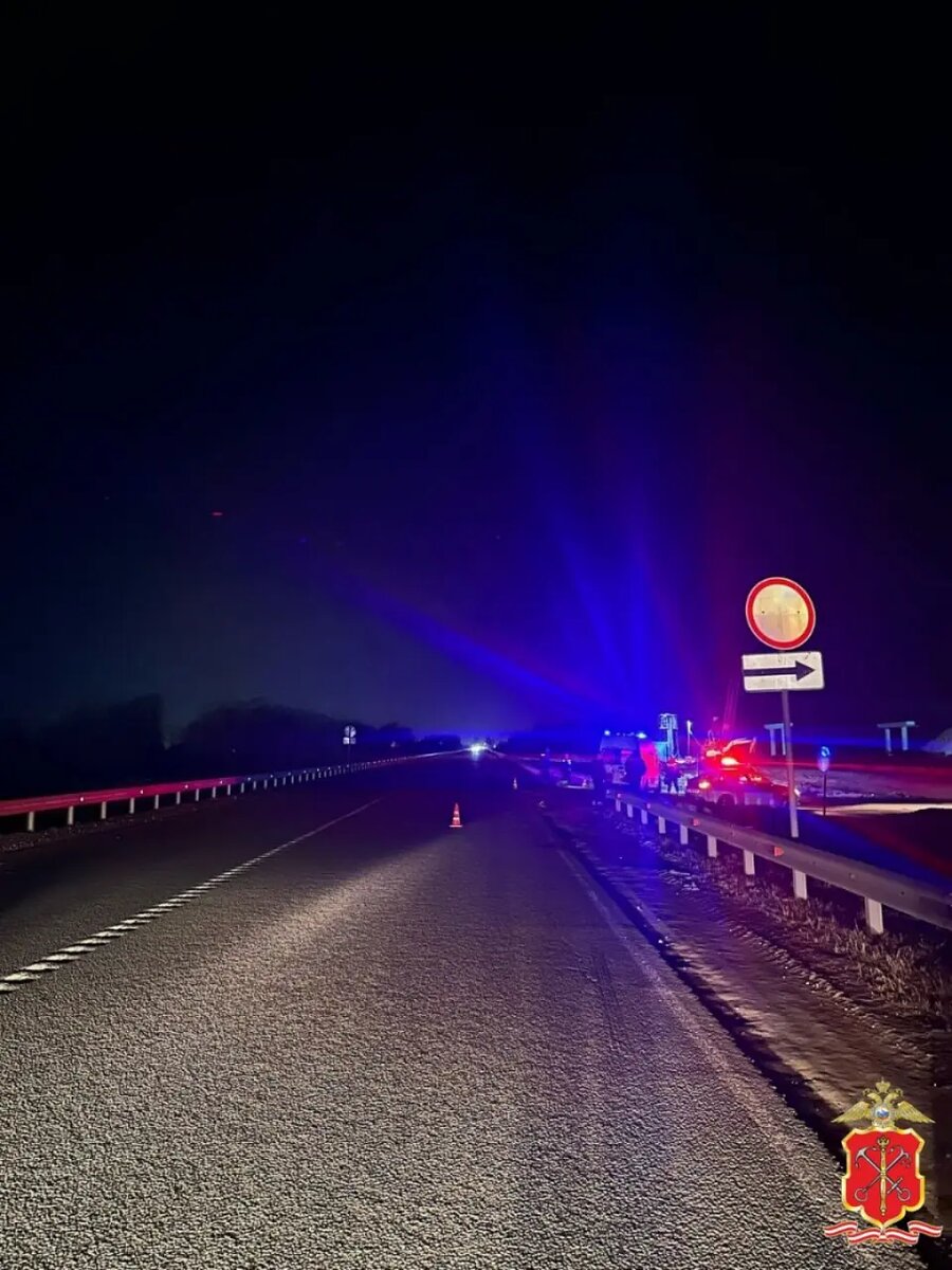    Фото: пресс-служба ГУ МВД России по Петербургу и Ленобласти