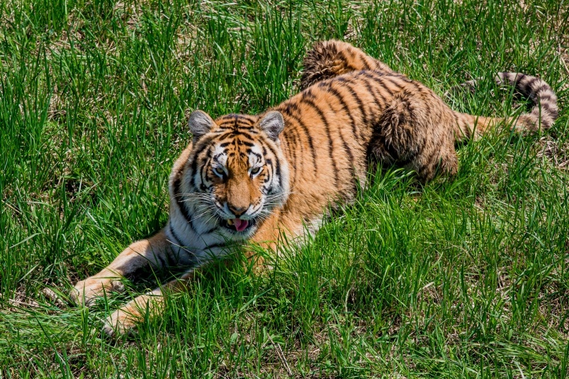    Фото: primamedia.ru Георгий