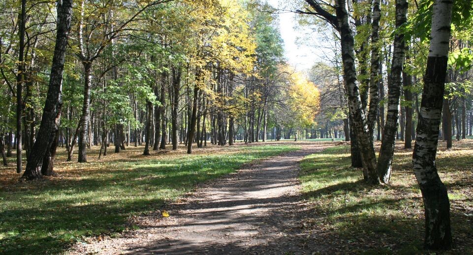    Медиасток.рф