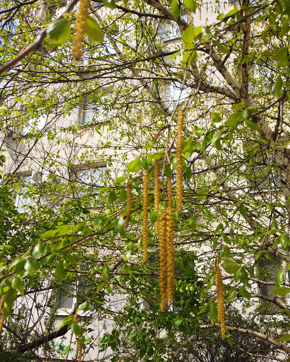 Из личного архива