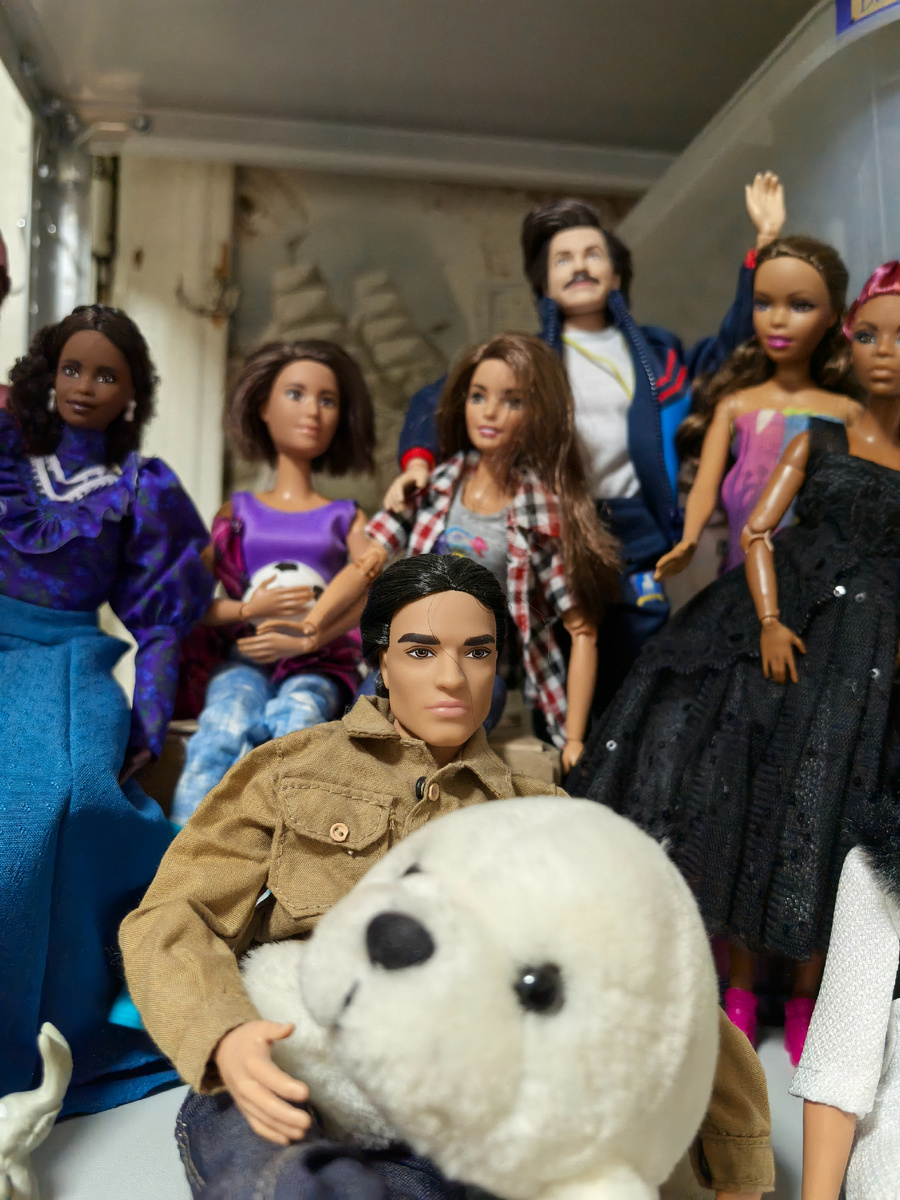 Камиль с тюленем