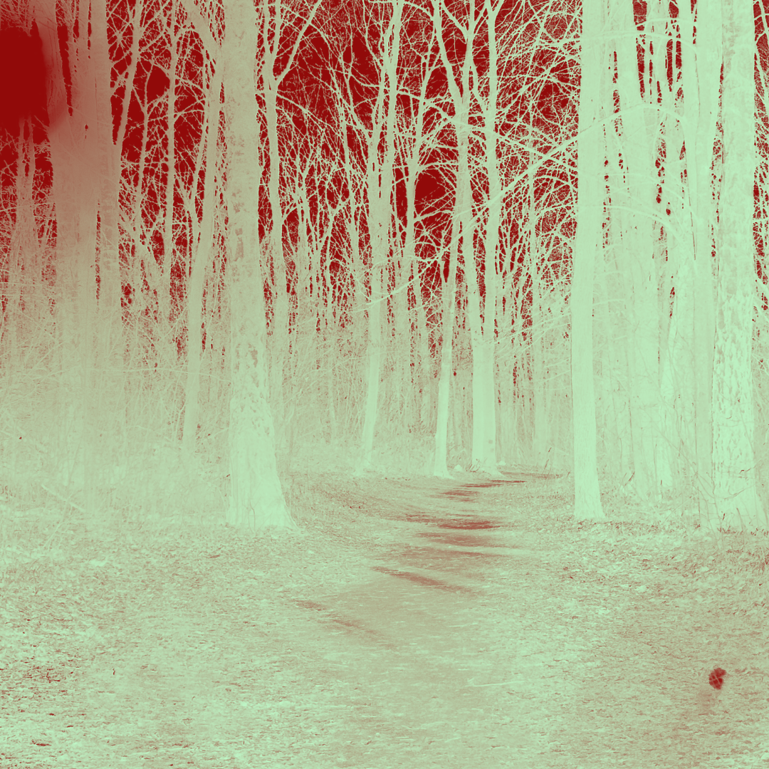 Производство фильма часто похоже на блуждание в тёмном лесу.