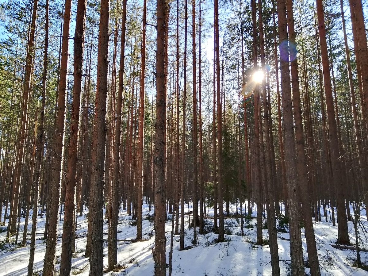 -28