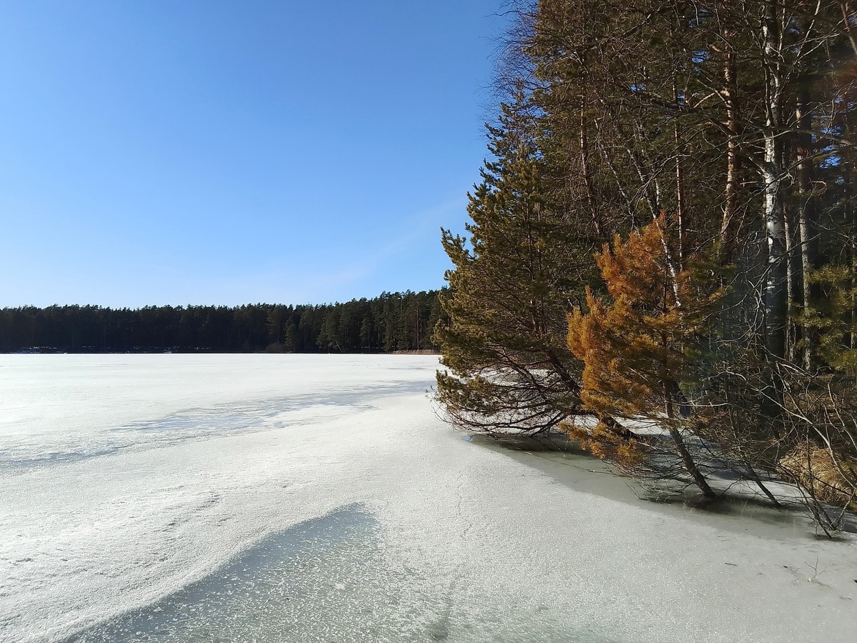 -29