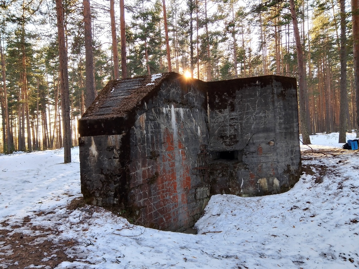 -33
