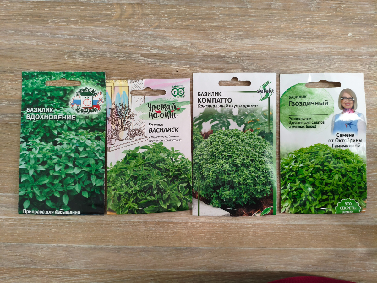 Скажите, как по этим картинкам понять, какой сорт предпочтительнее? Ни масштаб съёмки не определить, ни габитус.