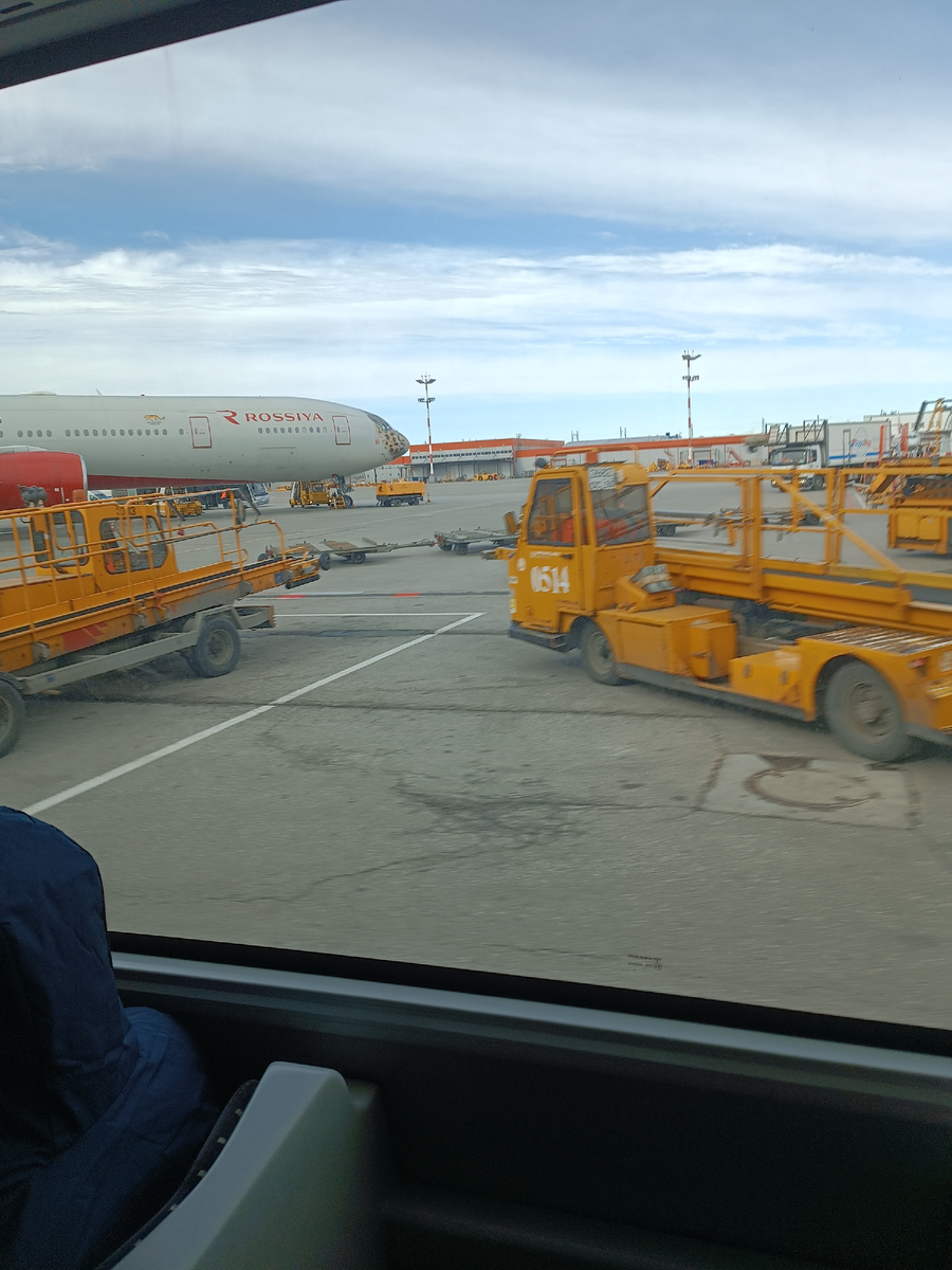 Видите леопардовость носа? 