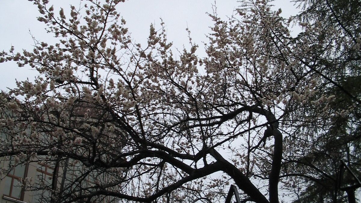     Источник: vostokmedia.com