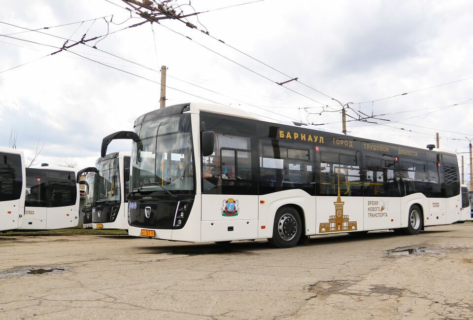    Новые автобусы марки НЕФАЗ, закупленные для Барнаула. Источник: Виталий Барабаш