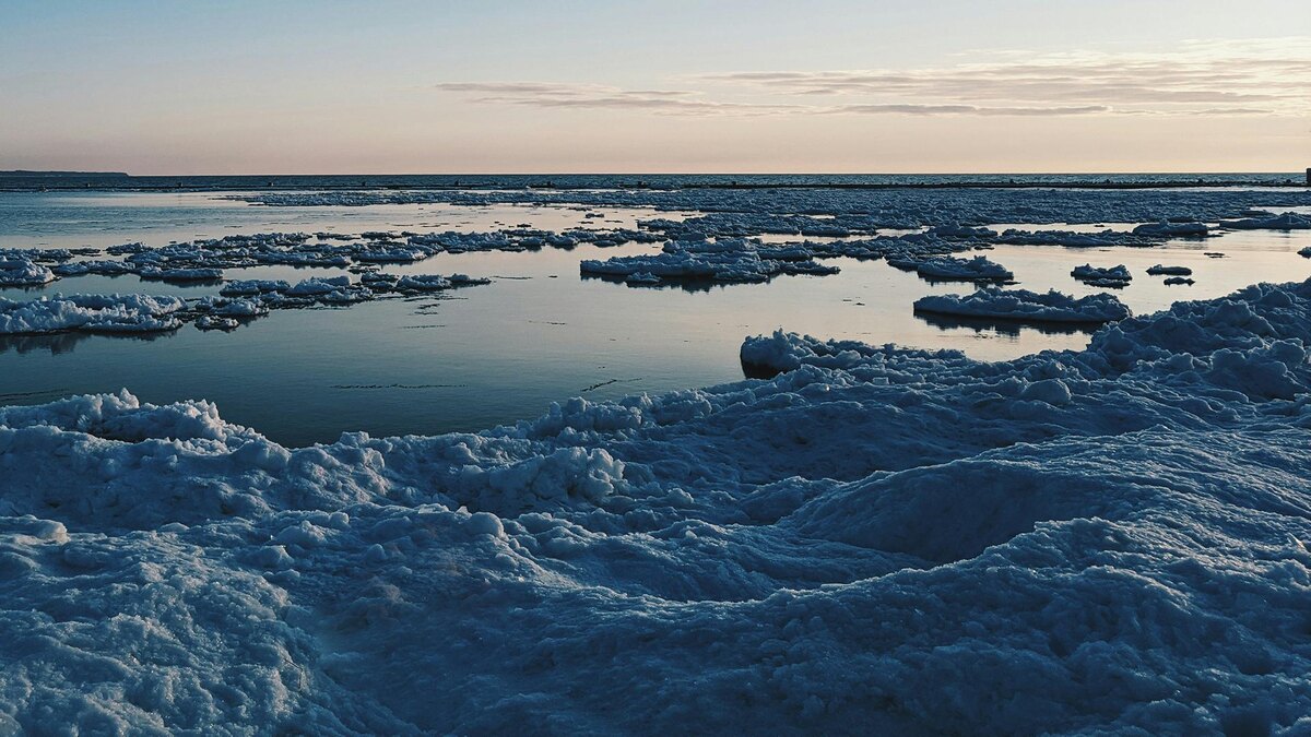    Фото: unsplash.com