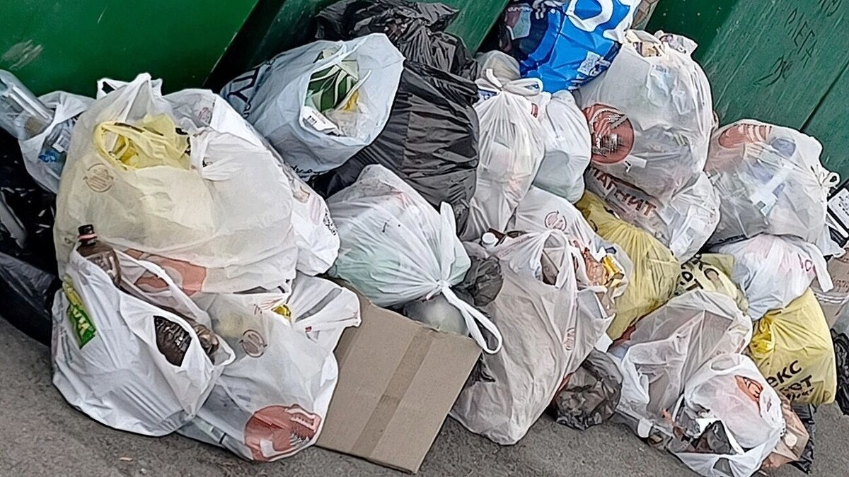     Автор: KubanPress