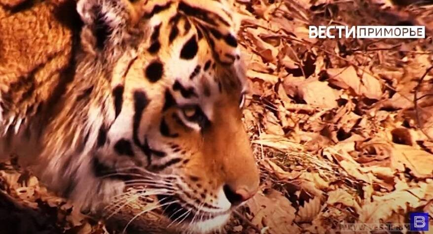    Источник фото: