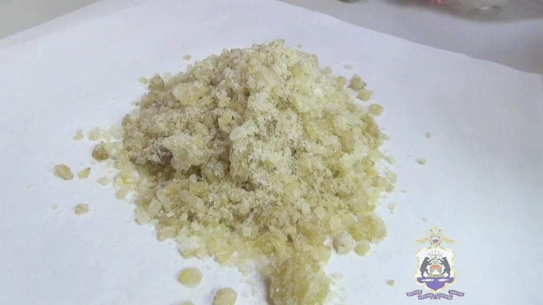    Фото: пресс-служба УМВД России по Новгородской области