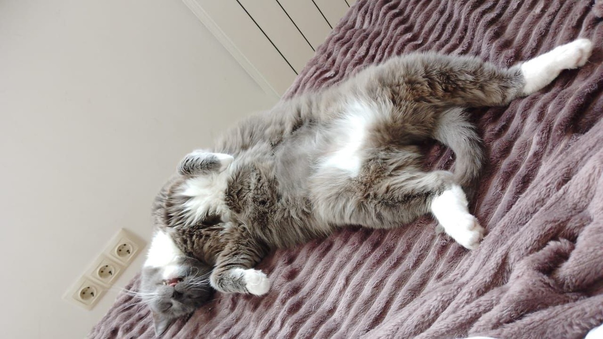 Обычное Машенькино состояние после обеда