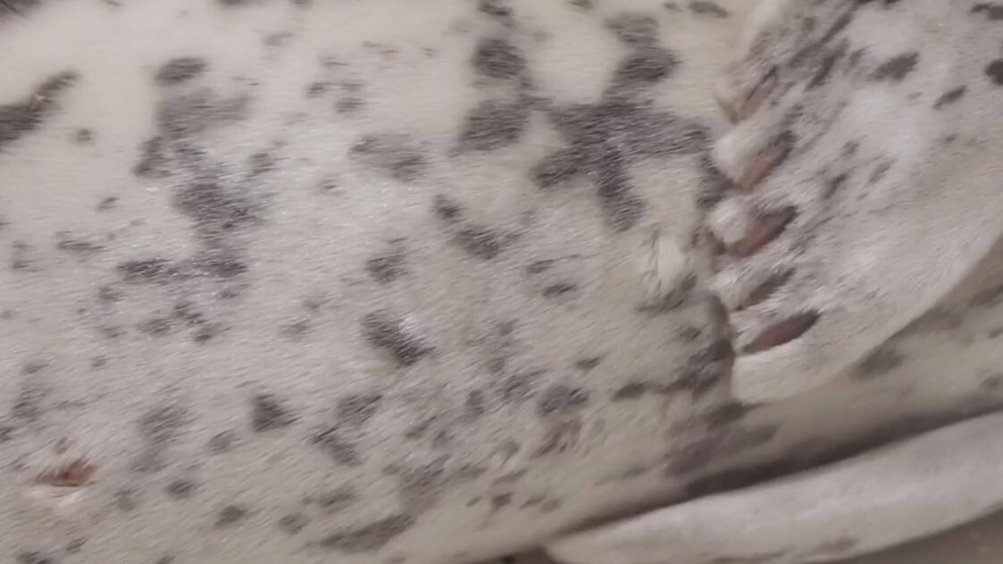     Источник: tulandvsevse