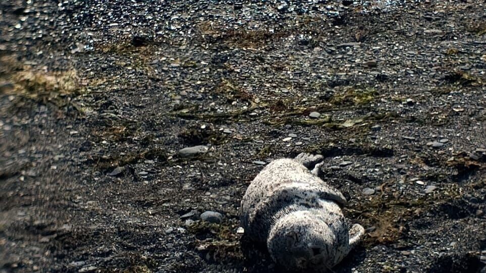     Источник: tulandvsevse