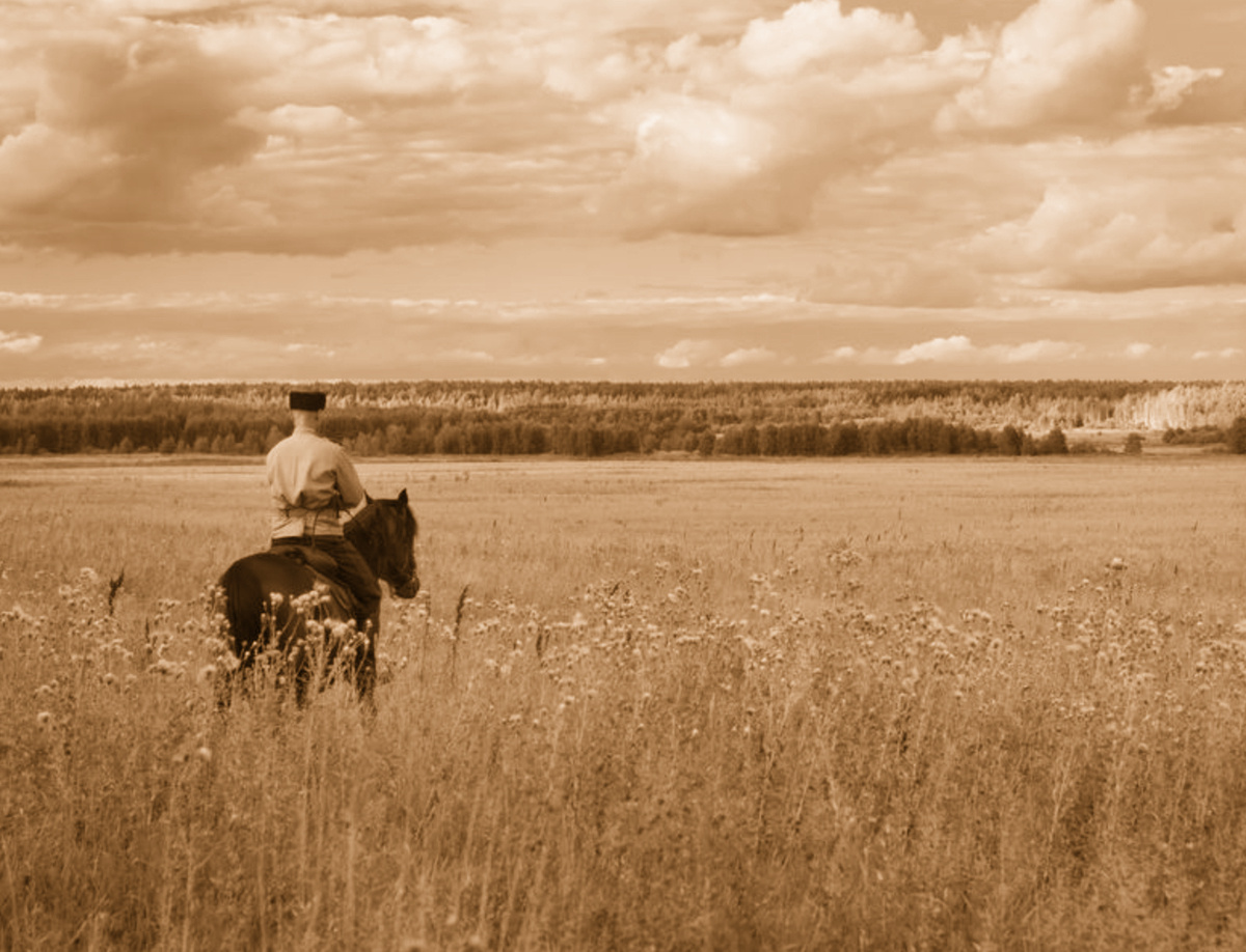 Фото из открытого источника Яндекс