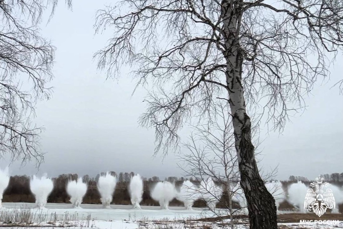    Фото: ГУ МЧС России по НСО