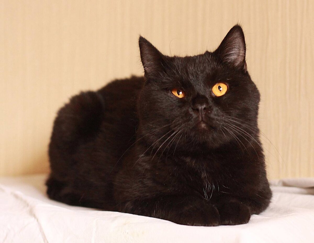 А Вы точно не меня ищете?