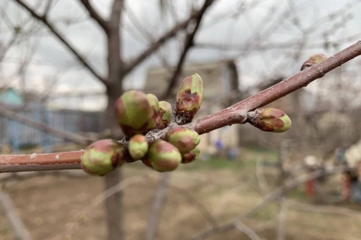    В Башкирии ожидаются температурные качели от -2 до +19 градусов