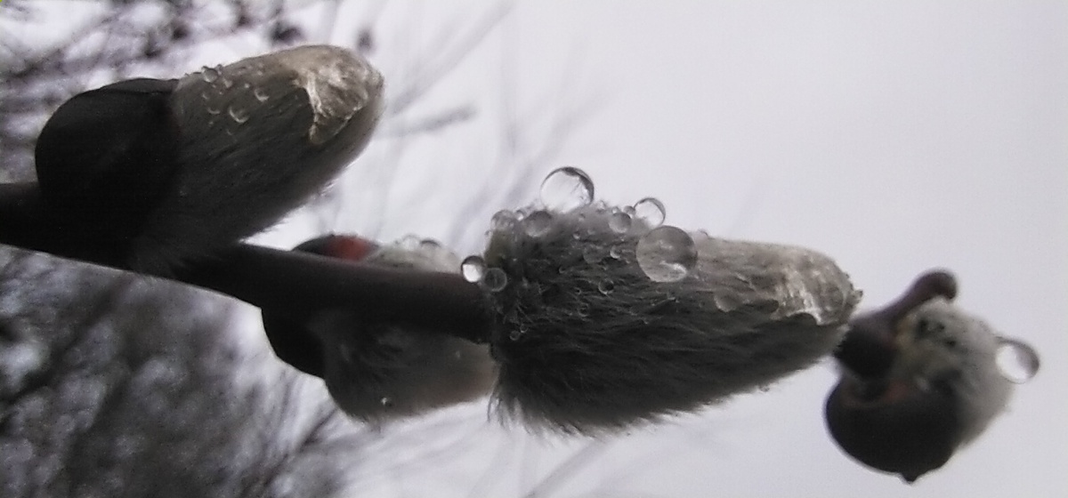 Личное фото