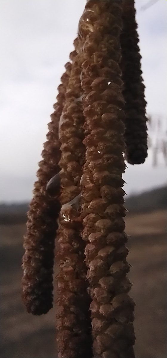 Личное фото