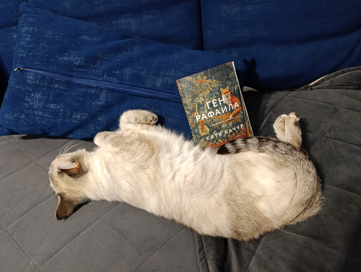 И снова книгу модного российского автора, как и в прошлый раз, представляет Дженька. 