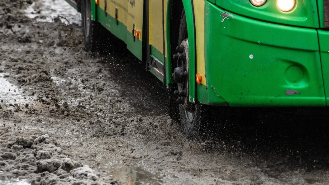    Фото: Ilya Moskovets/Globallookpress