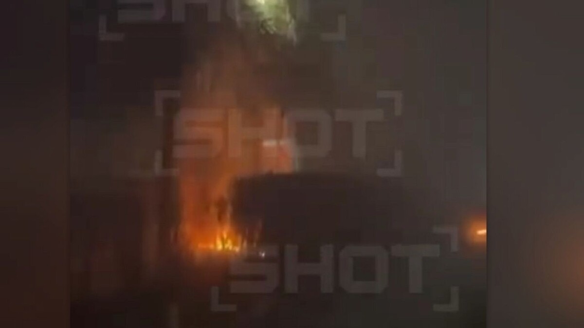    Фото: t.me/shot_shot