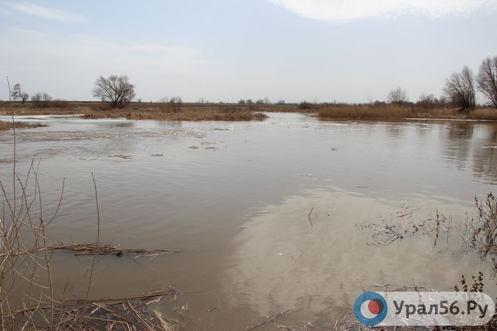    В Оренбургской области имеется 913 гидротехнических сооружений. В каком они состоянии?