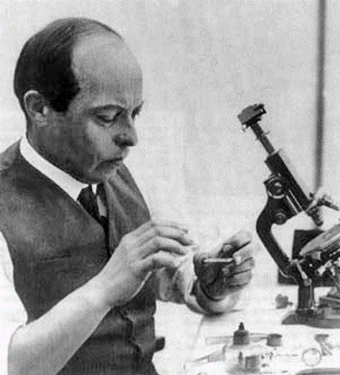 Владислав Александрович Старевич (1882-1965) – российский и французский кинорежиссер, один из основателей русской анимации. Изображение взято из открытых источников