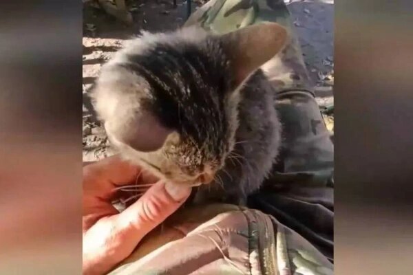 Предоставлено Life.ru