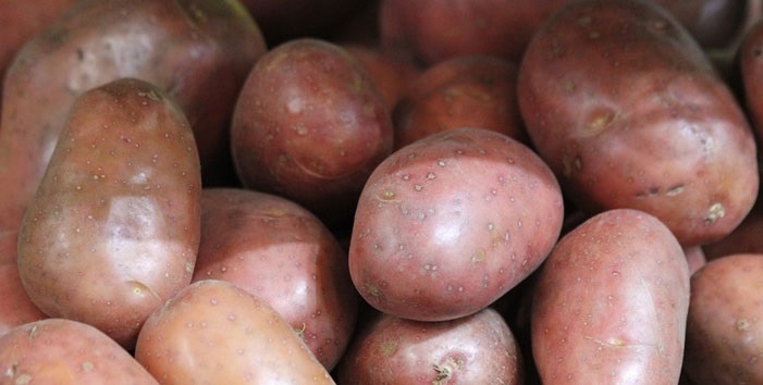 Брянский надежный https://kartofan.org/xarakteristika-sorta-kartofelya-bryanskij-nadezhnyj.html