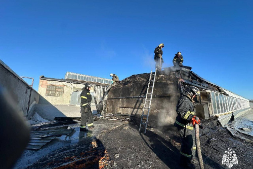    Фото: МЧС НСО