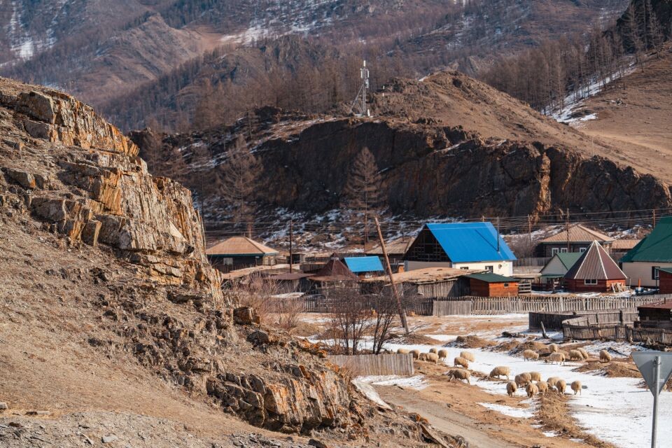    Республика Алтай. Источник: Андрей Сороко/"Толк"