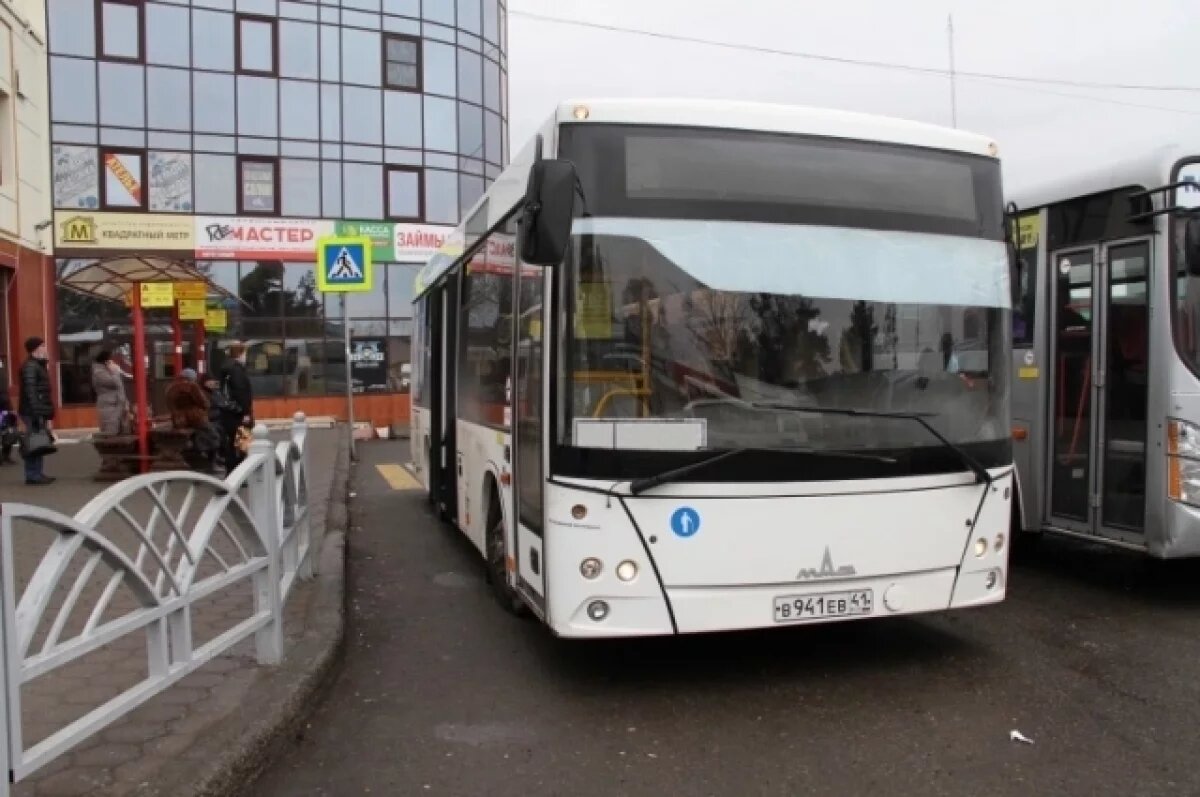    В Елизове ввели маршрут, который будет ходить до нового терминала аэропорта
